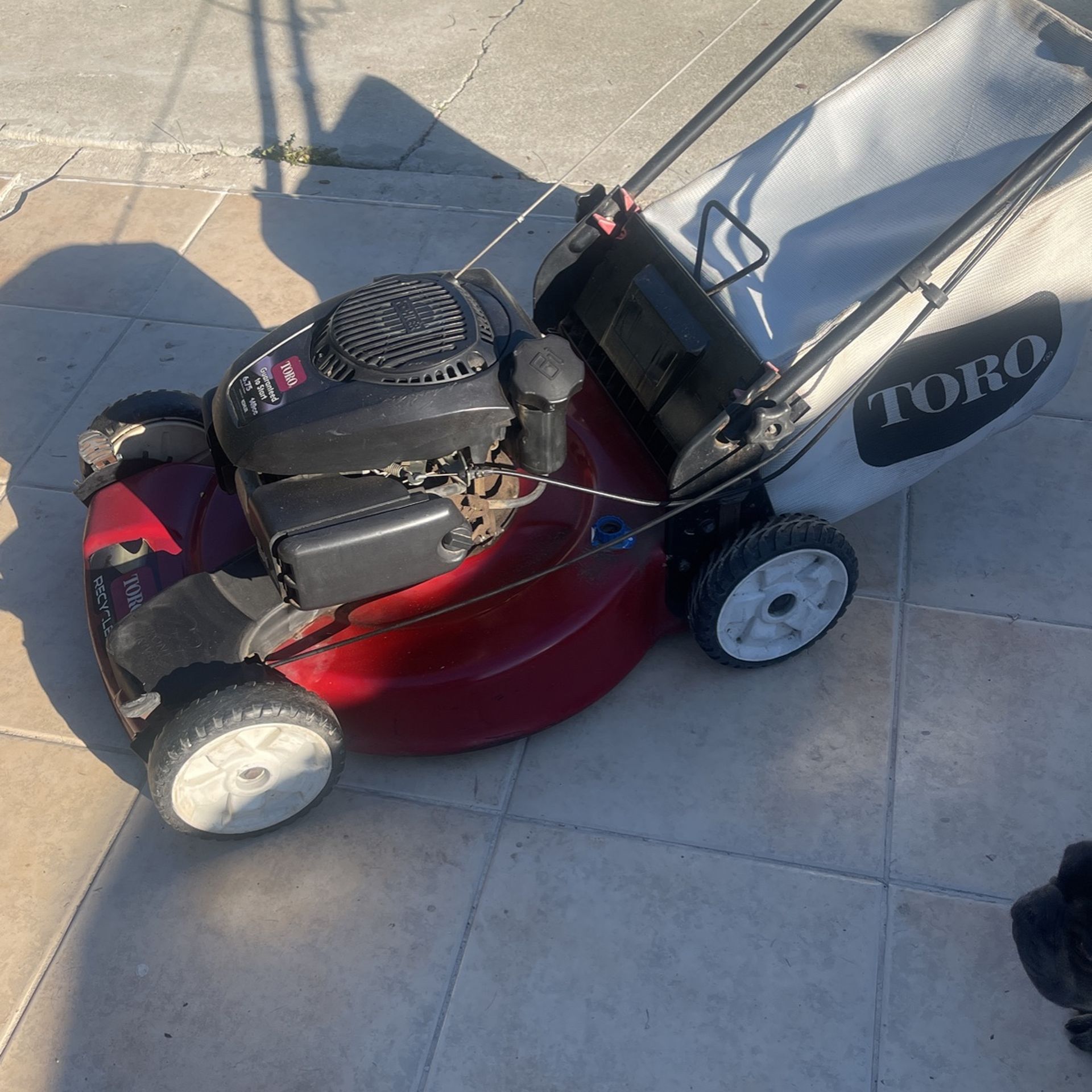 Máquina De Cortar Pasto