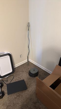 Curl Bar And Weights Work Out Eq.