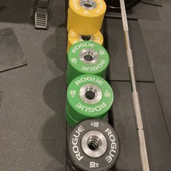 Pair Of Rogue Db-15 Loadable Dumbbells With  Rogue OSO Aluminum Collars And 6 Pairs Of Specialty Rogue Dumbbell Bumpers - Retails For Over $1600