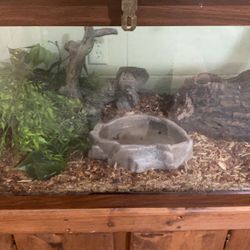 100 Gallon Tank 