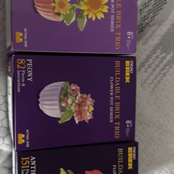 Flower Pot Series All3$10 