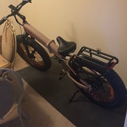 Wallke E Bike 