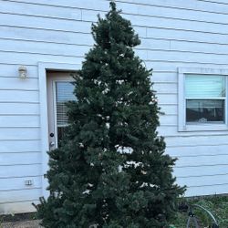 Free Christmas Tree - Not A Real Tree