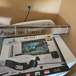 Projector And Screen 