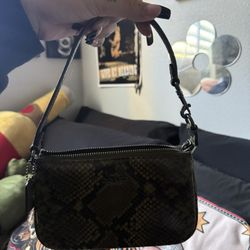 Snake Skin Coach Bag