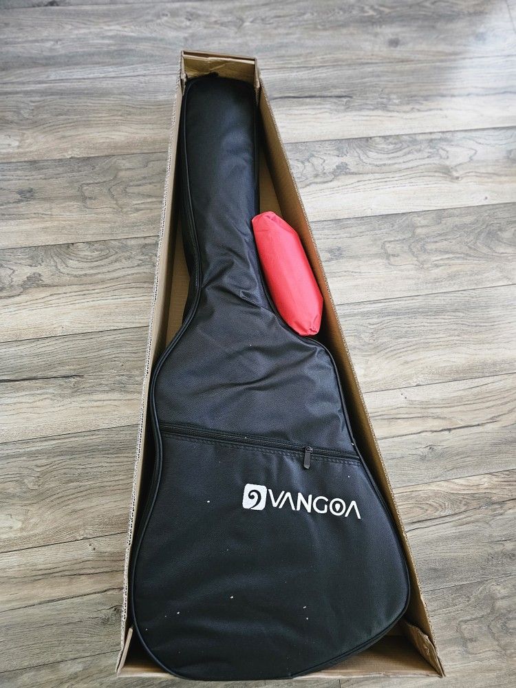 Acoustic Electric Guitar