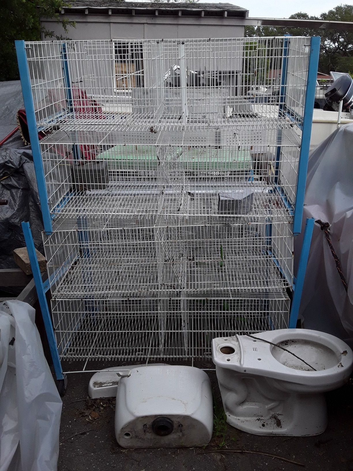 Breeding bird cages with poop trays for Sale in Mather, CA OfferUp