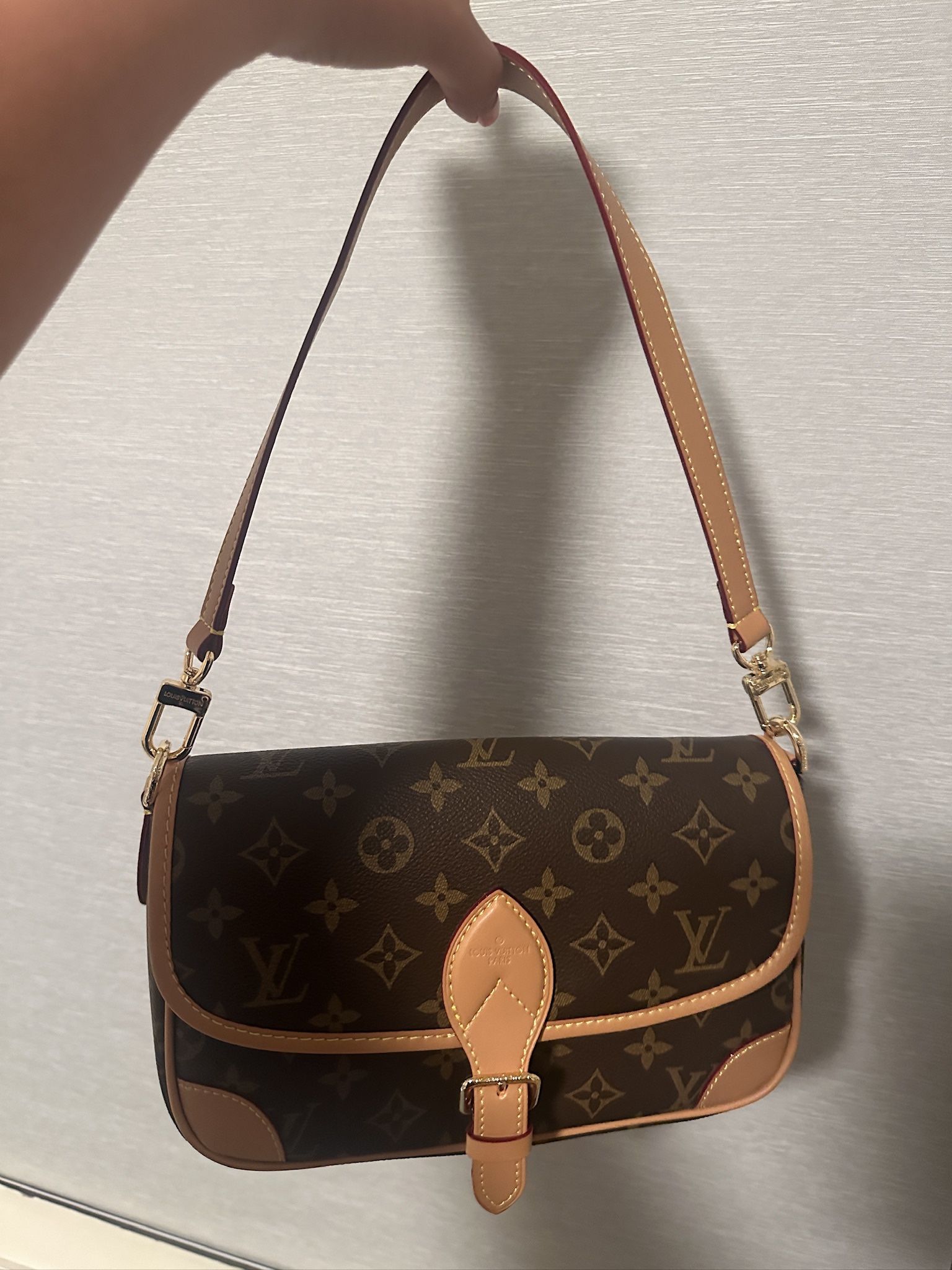 LV and Dior Bag Bundle