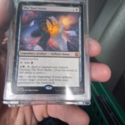 Magic The Gathering Cards Valued At 801$