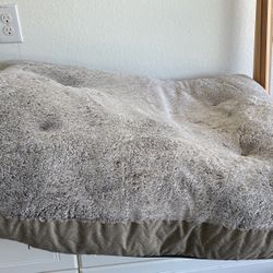 Large Pet Bed Barely Used 