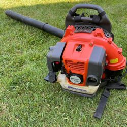 Backpack Leaf Blower For Sale 