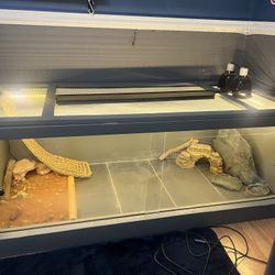 Reptile Cage