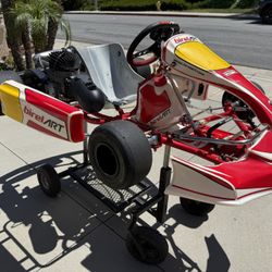 Birel 100cc Iame Kart