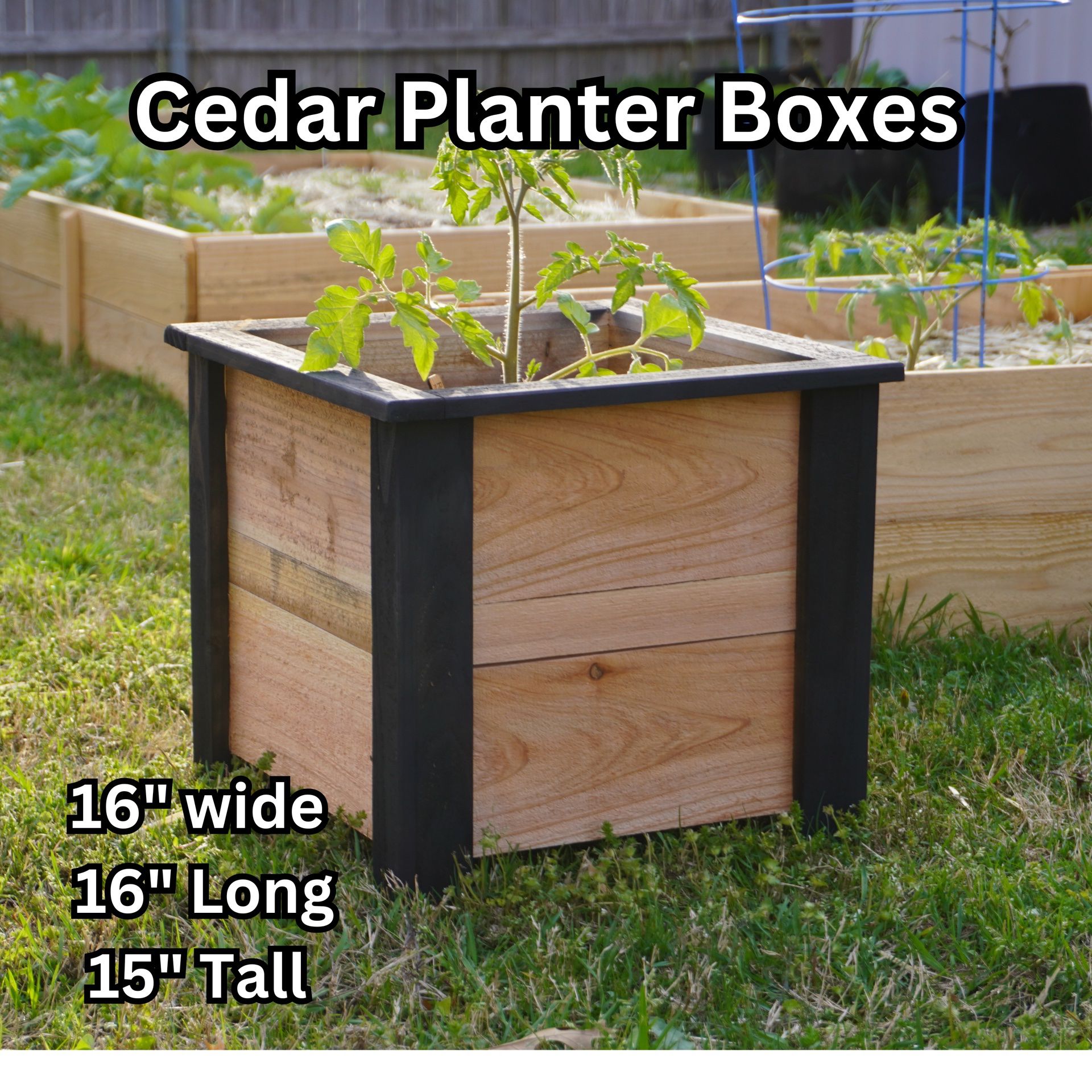 Cedar Planter Boxes Rustic Farmhouse Style