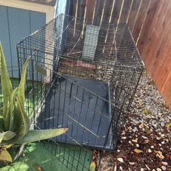 Dog Cage