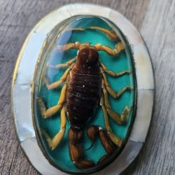 Belt Buckle For Sale 