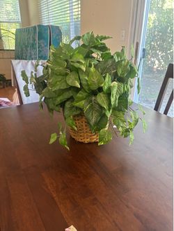 artificial plant
