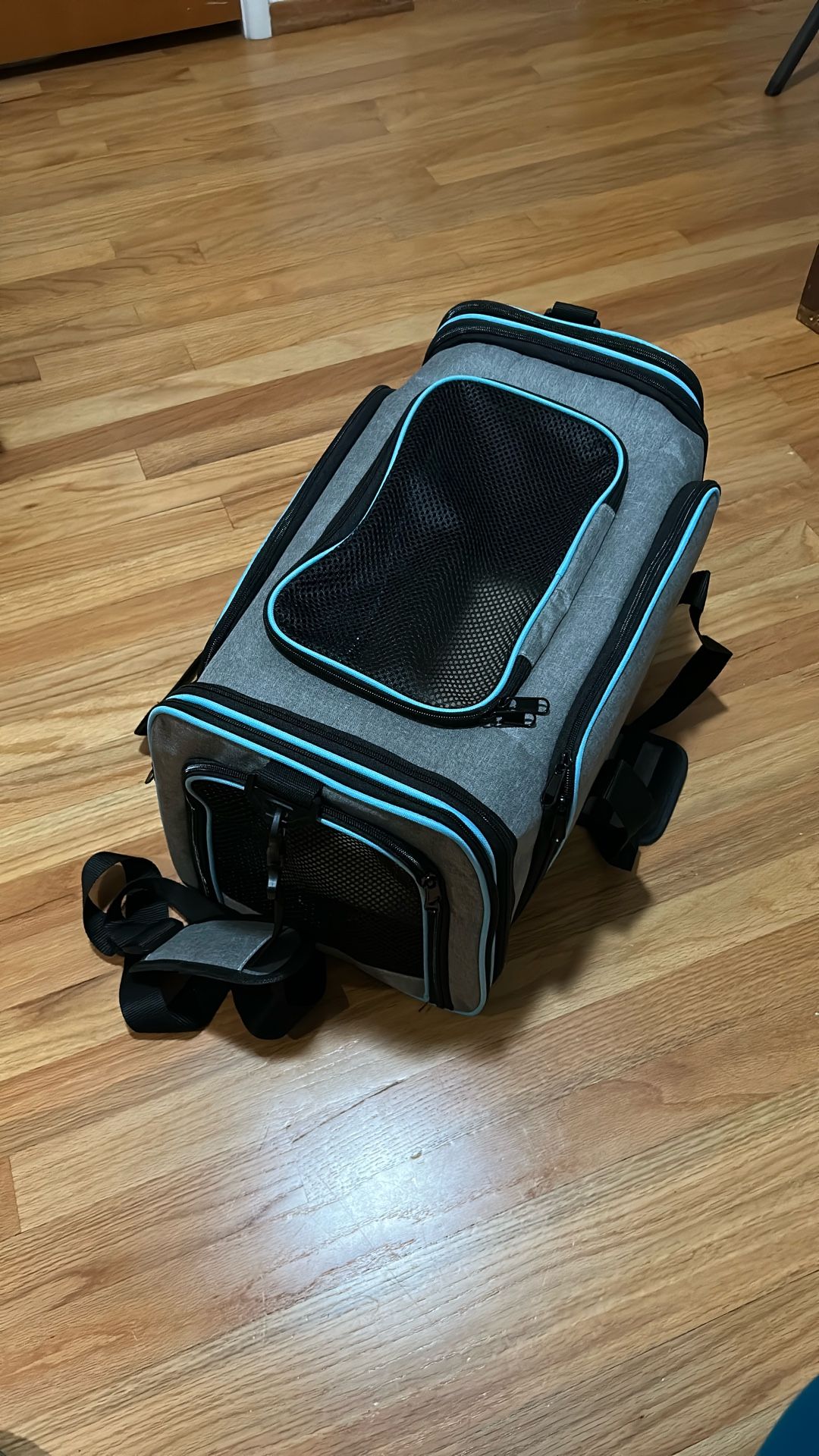 Pet Carrier Bag