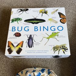 Bug Bingo  Game