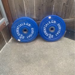 45lb Olympic Weights 40$