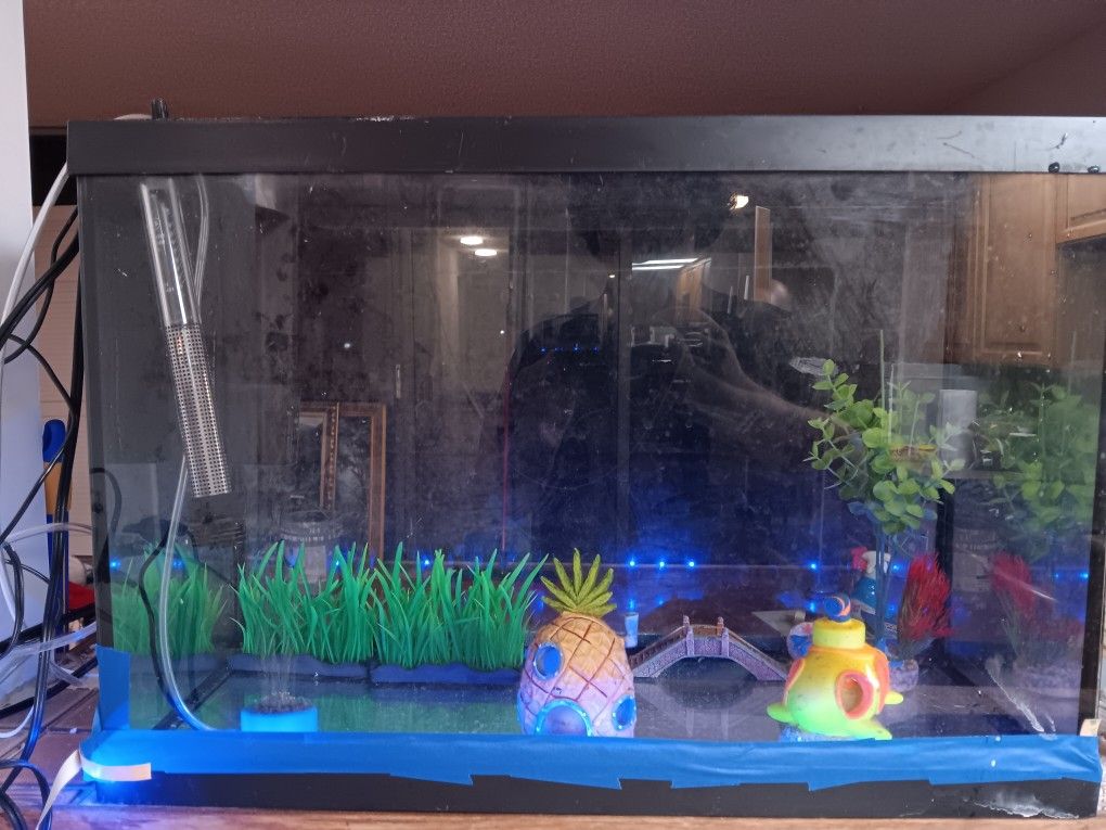 Fish Tank