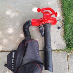 Craftsman Leaf Blower/ Vacuum