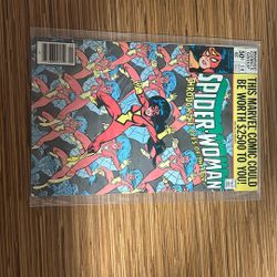 Spider Woman Through The Eyes Of The Fly