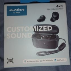 Soundcore Bluetooth Earbuds 