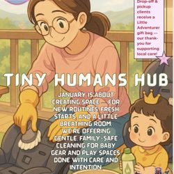 Sparkle & Shine Baby Gear Cleaning