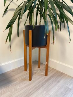 Modern mid- century plant stand planter