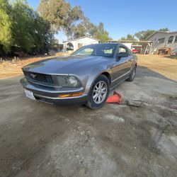2005 v6 Mustang 