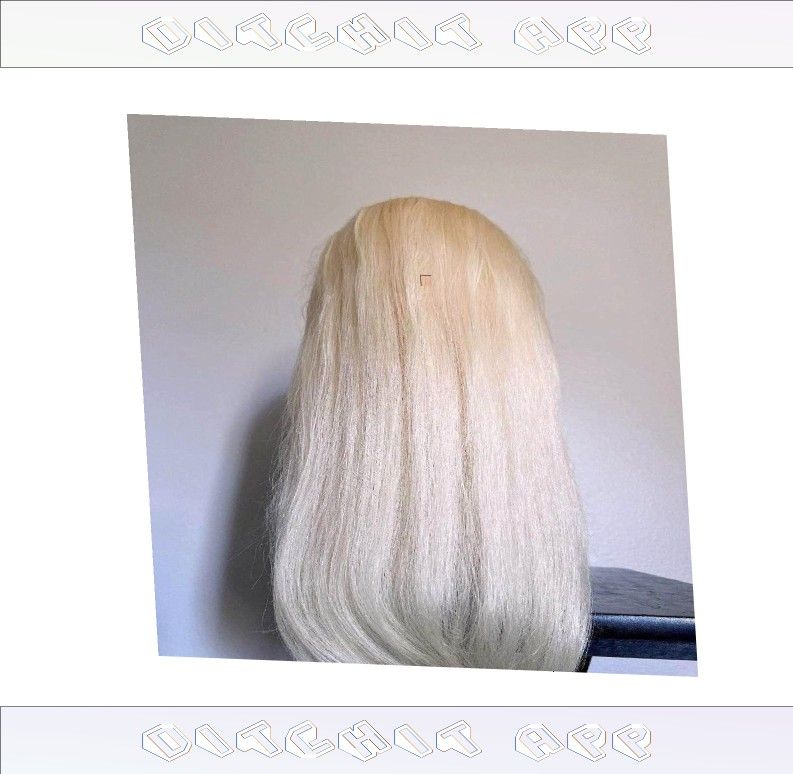 or brother Celebrate Yourself with Wigs in Every Color You Imagine