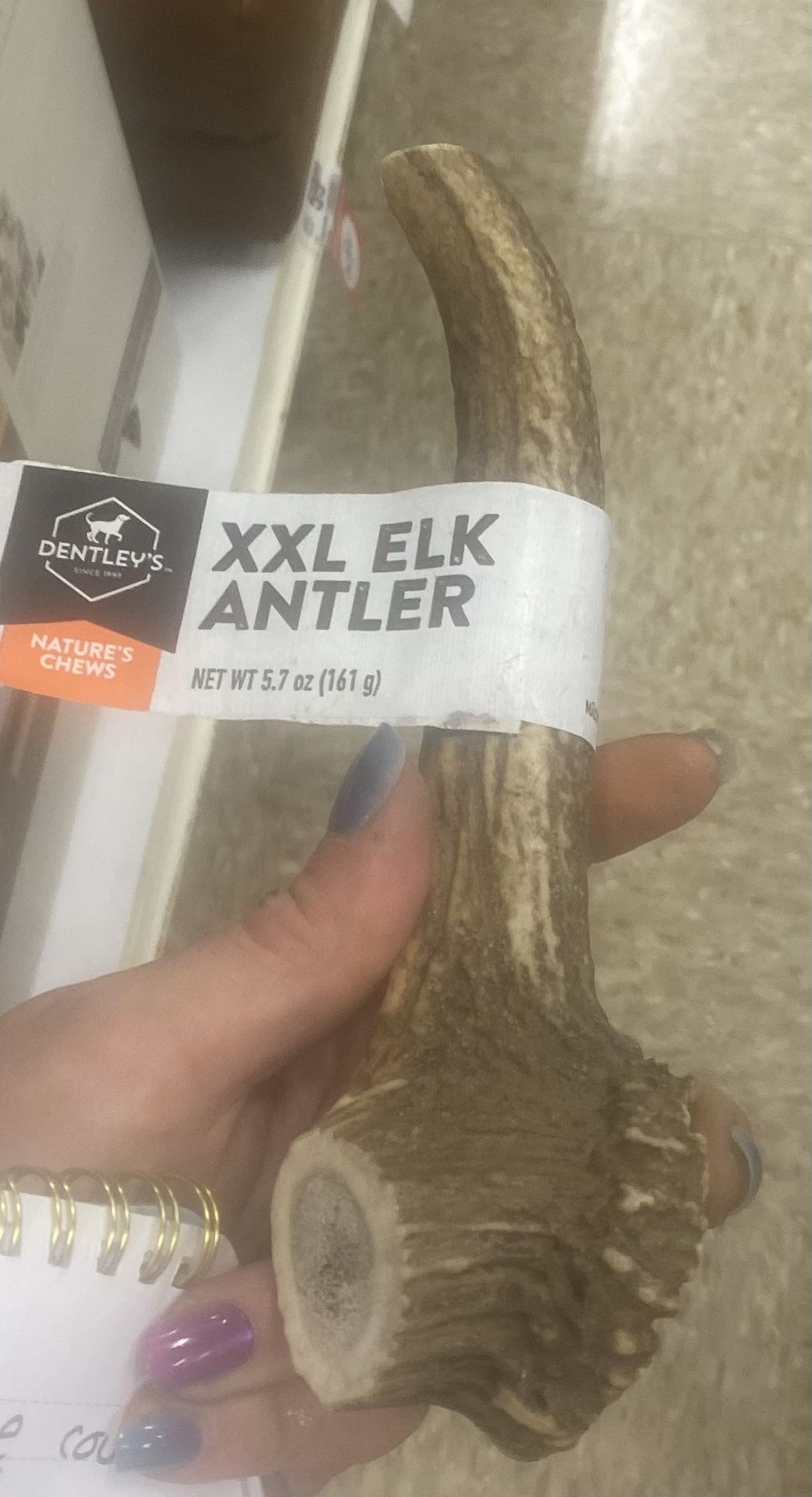Moose And Elk Antlers For Dogs To Chew