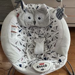 Fisher Price Infant Bouncer 