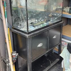 30 Gallon Fish Tank W/ Stand