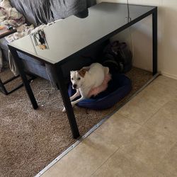 Black Glass Dining Table 