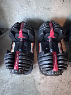 Bowflex Dumbbells