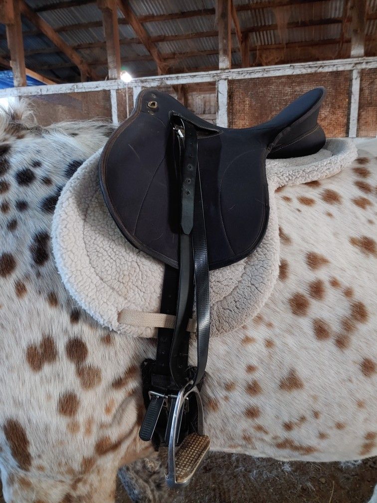 Wintec English Saddle 16"
