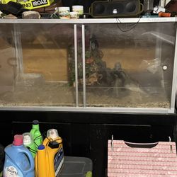 Zen Habitat Reptile Enclosure 