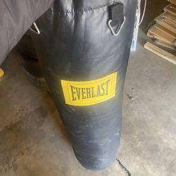 Everlast Punching Bag