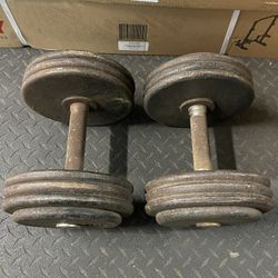 Dumbbells…55 lbs Prostyle 2 X 55 lbs 110 lbs total Price Is Firm!!!