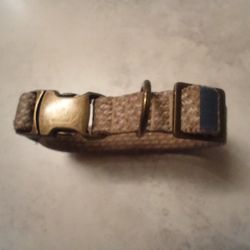 Small Dog Collar 