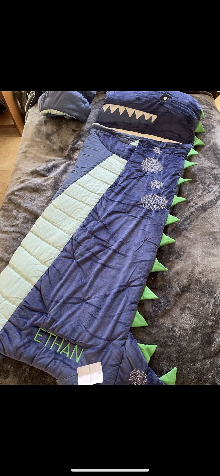 Dinosaur Sleeping Bag (Pottery Barn/with Tag)