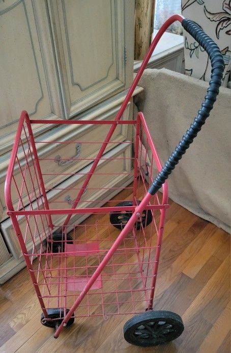 Large Rolling Shopping Cart