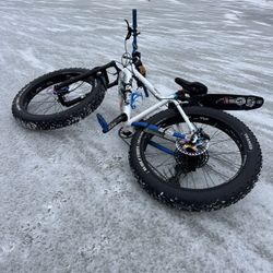 Custom Built fat Bike. 