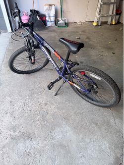 Schwinn mountain bike