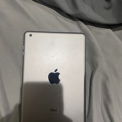 Ipad 2 mini gray/silver