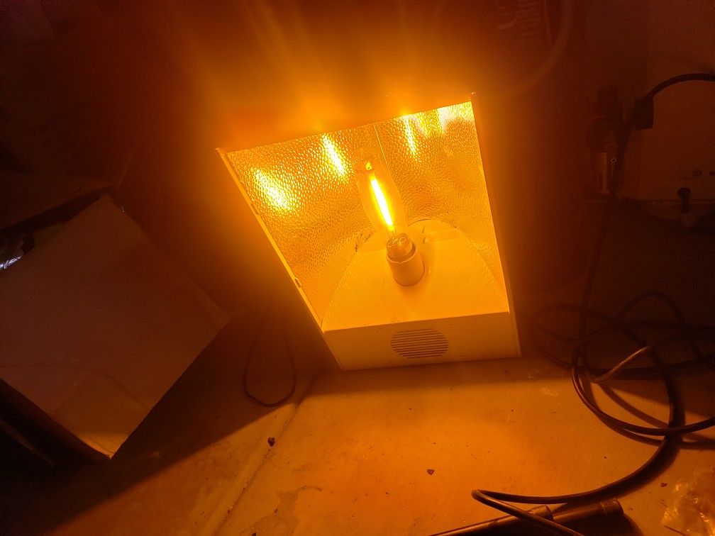 Grow light for sale