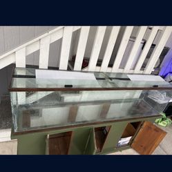 Fish Tank