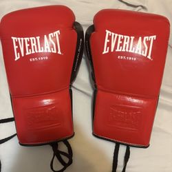 Everlast Powerlocks 2